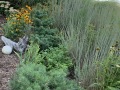 IMG_0783