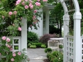 arbor
